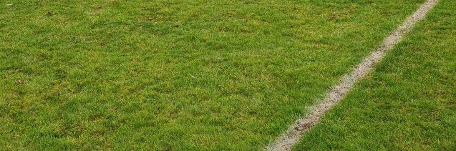 scojo9's profile banner image