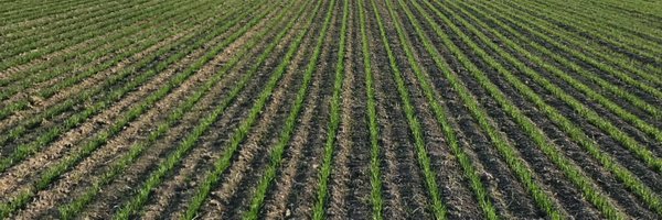 agroguydavid Profile Banner