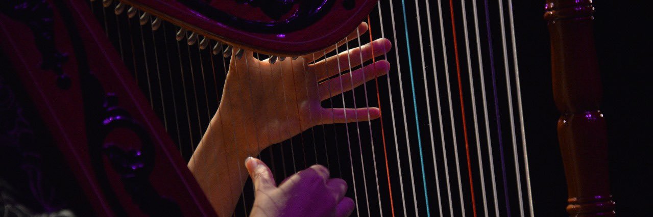 Devorah Rolón banner