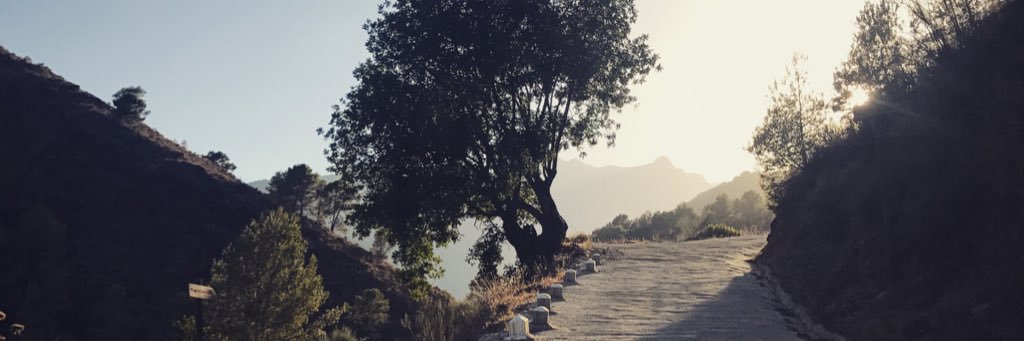 Ani3m3's profile banner image
