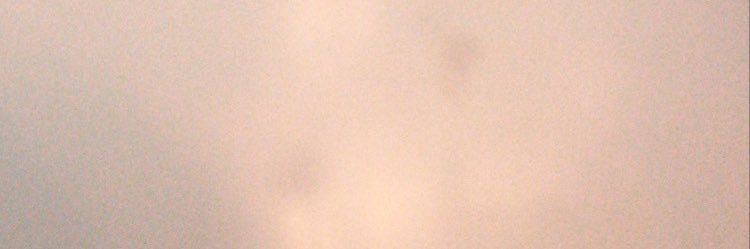 stephanie banner