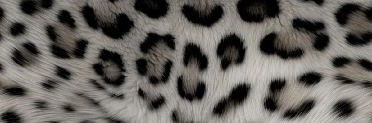 camzixo's profile banner image