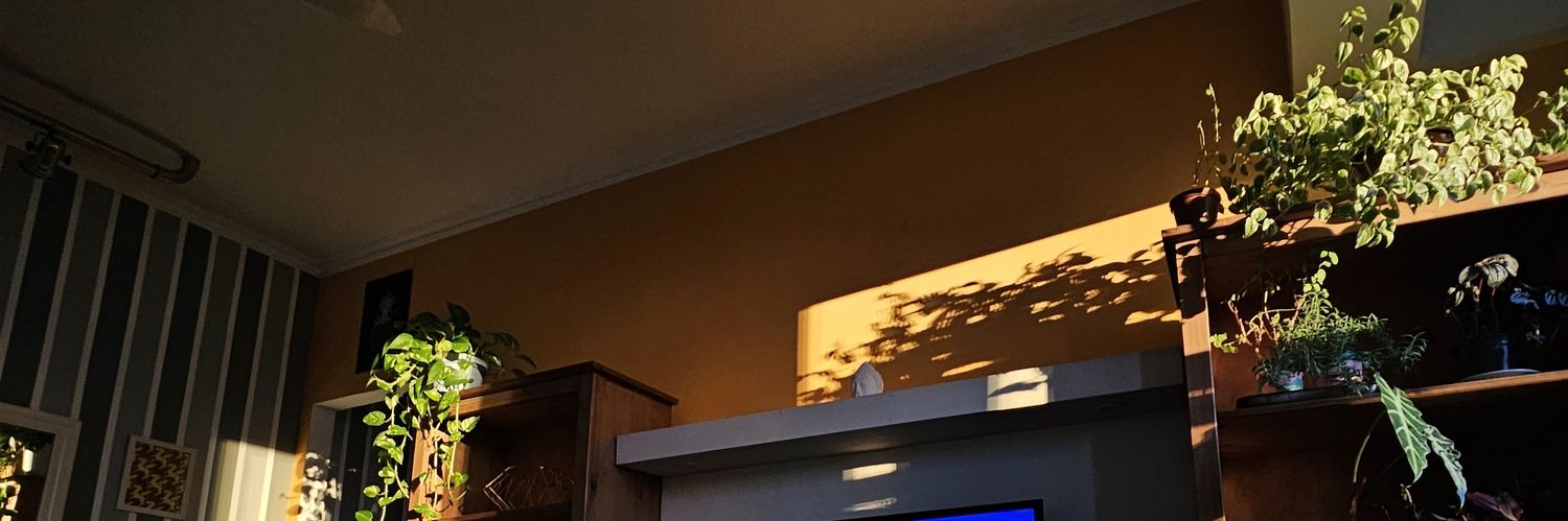 hellohelo99's profile banner image