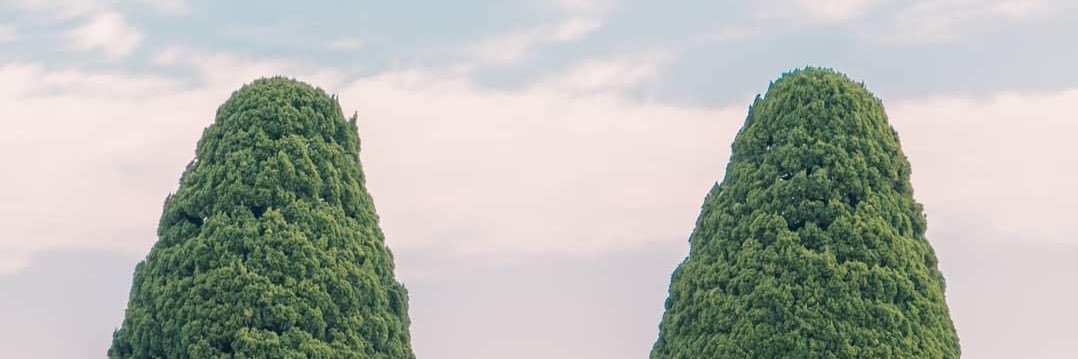 mynameisney's profile banner image