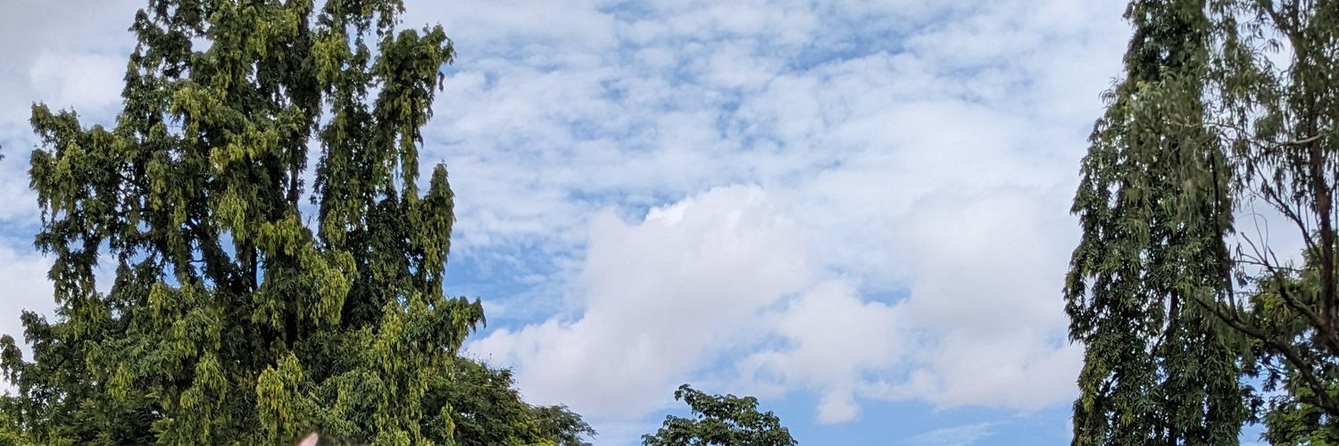 itok_Y's profile banner image