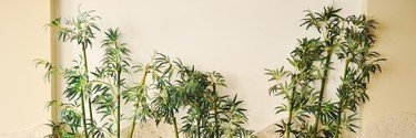 Lrnaylor's profile banner image