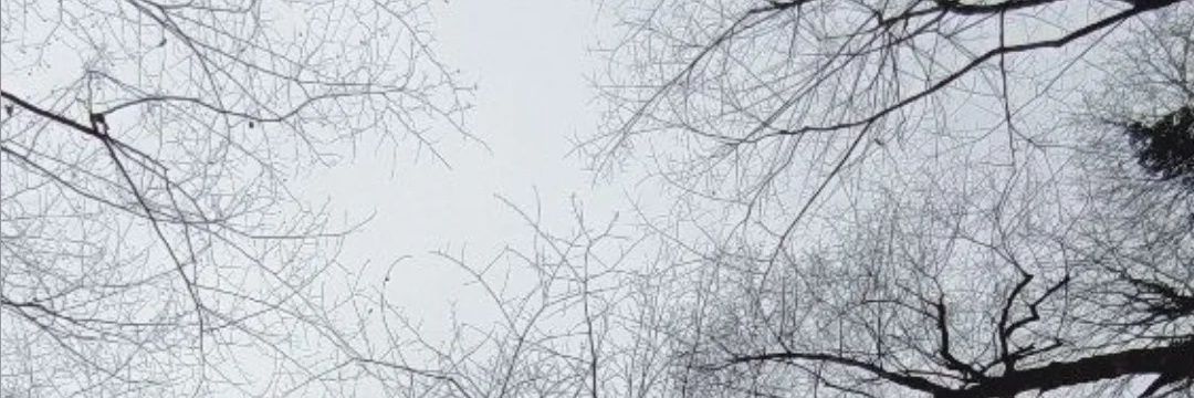Twh1d's profile banner image