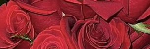 لياااال banner