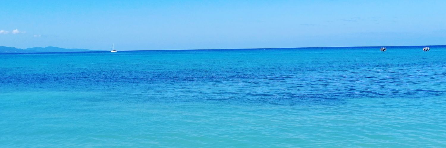 ricky7929's profile banner image