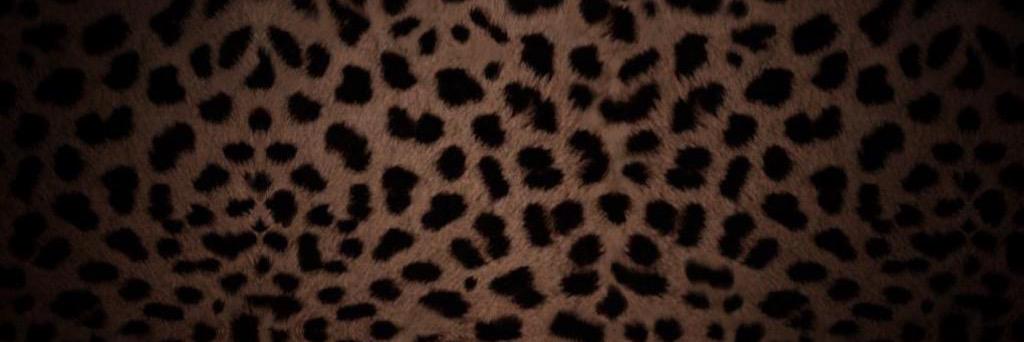 _xTriceMonee's profile banner image