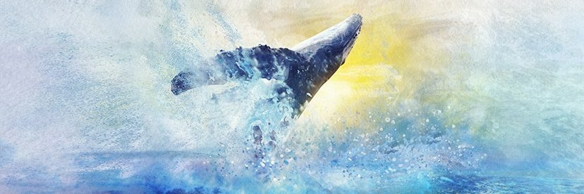 StephiLippert's profile banner image