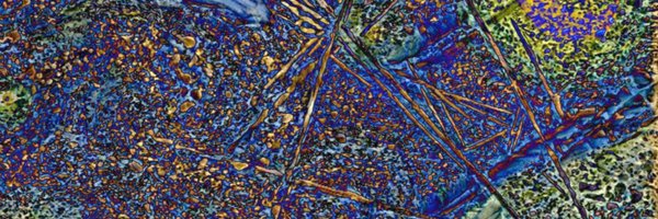 cmu_mse Profile Banner