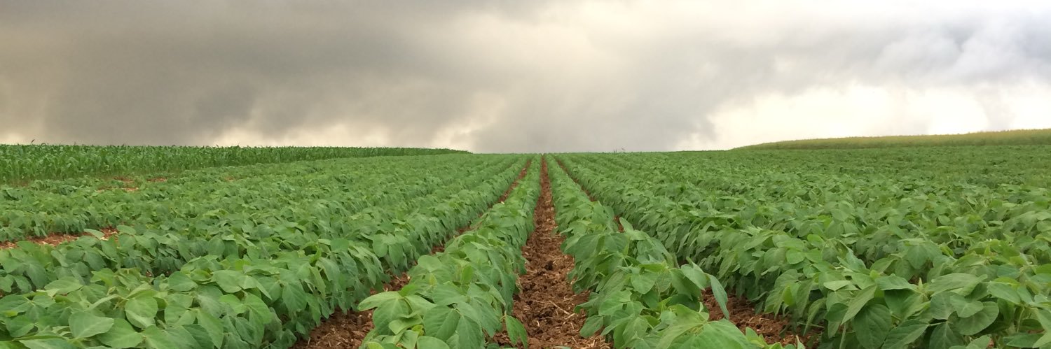 Chretien Robin banner