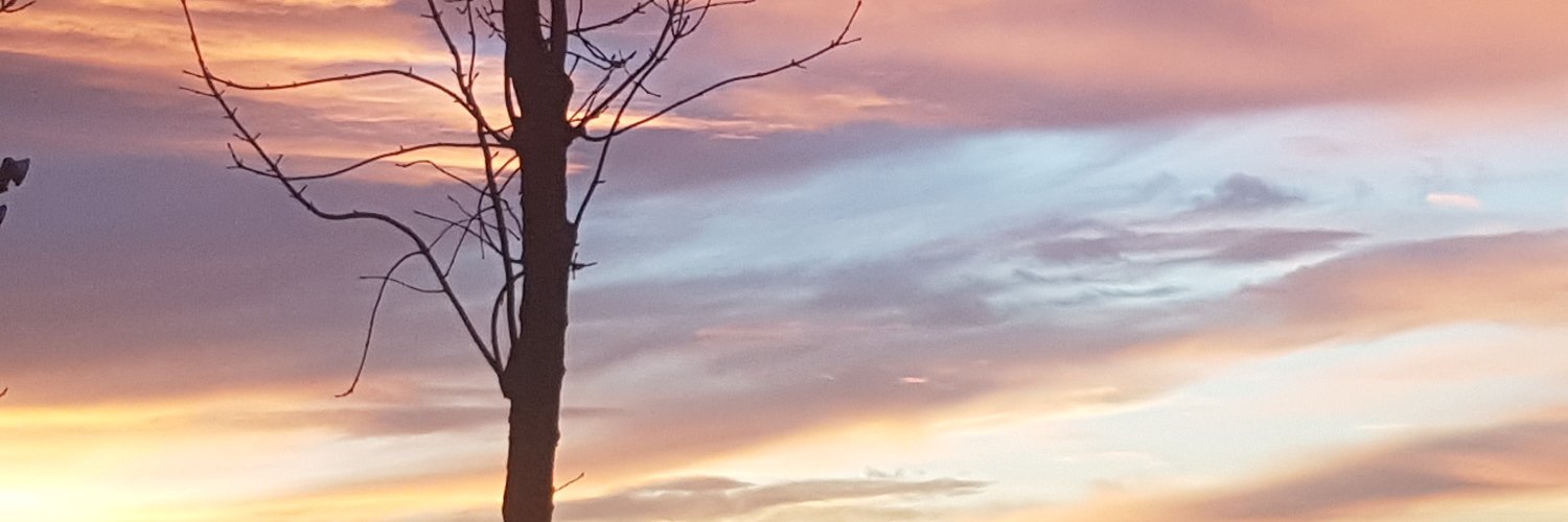 culkr's profile banner image