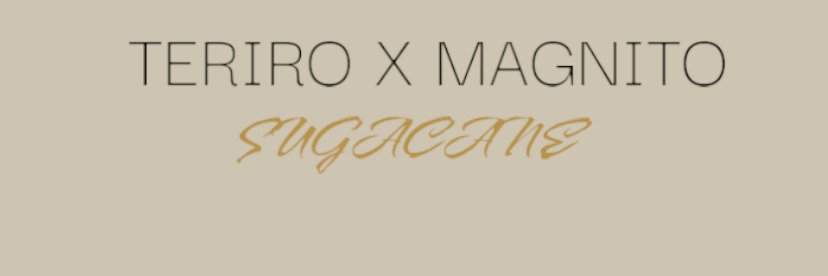 TERIRO banner