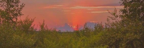 sb_tolove's profile banner image