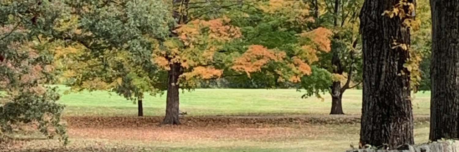 cerboston's profile banner image