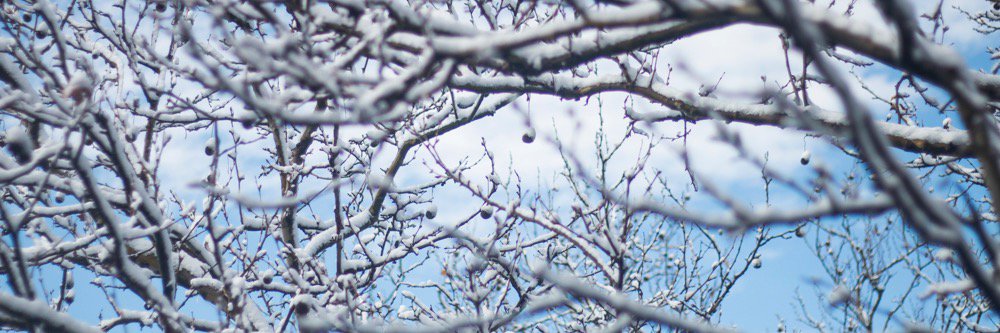 LifeInBleau's profile banner image