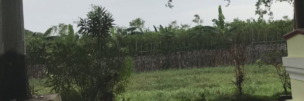 itsmahe's profile banner image