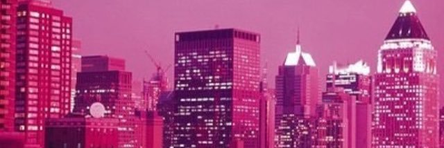 StefanyQuinter2's profile banner image