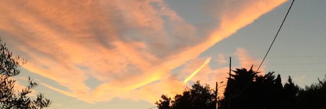 RisottoLiquidé banner