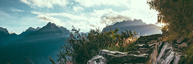 Violante Martínez banner