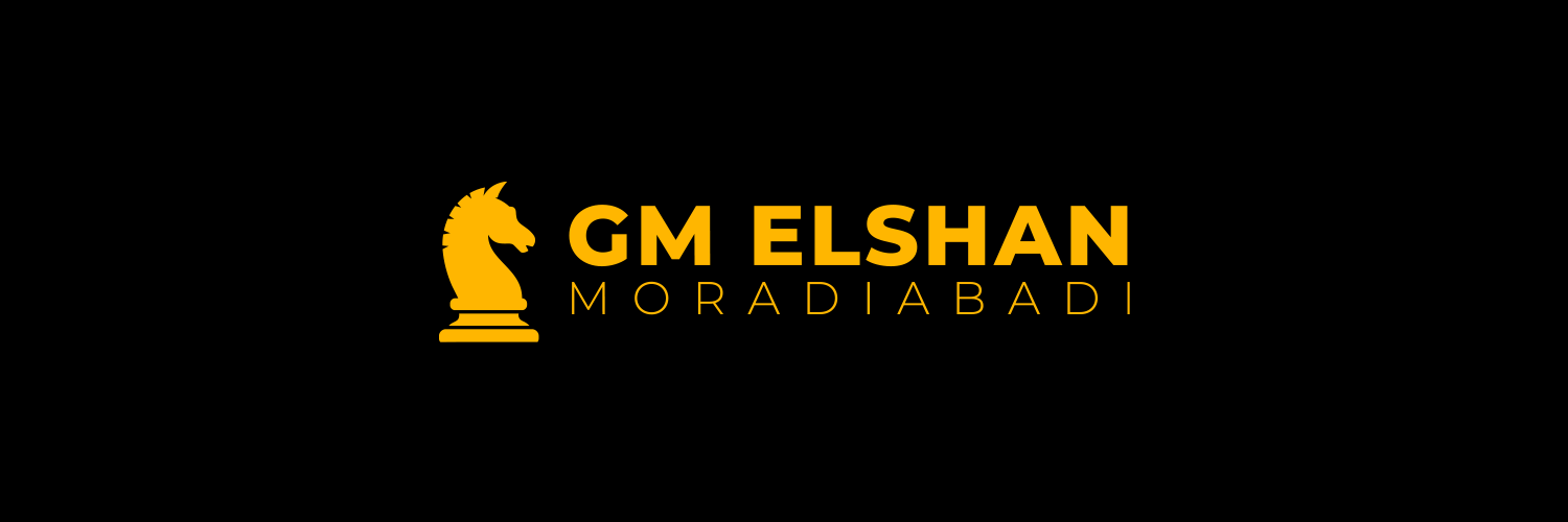 Elshan Moradiabadi banner