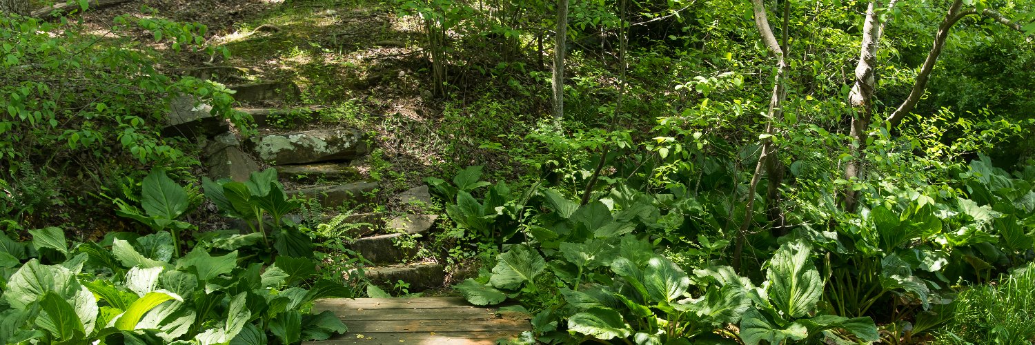 The Outdoor Lab banner