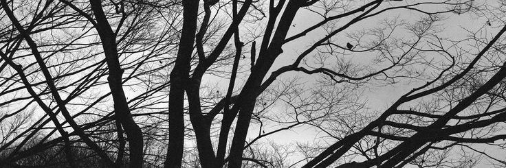 leeijeeno's profile banner image