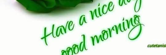 Sh01490289Ankit's profile banner image