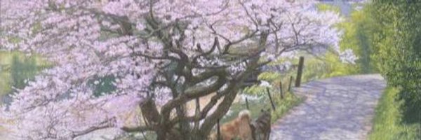 Rqvvk's profile banner image