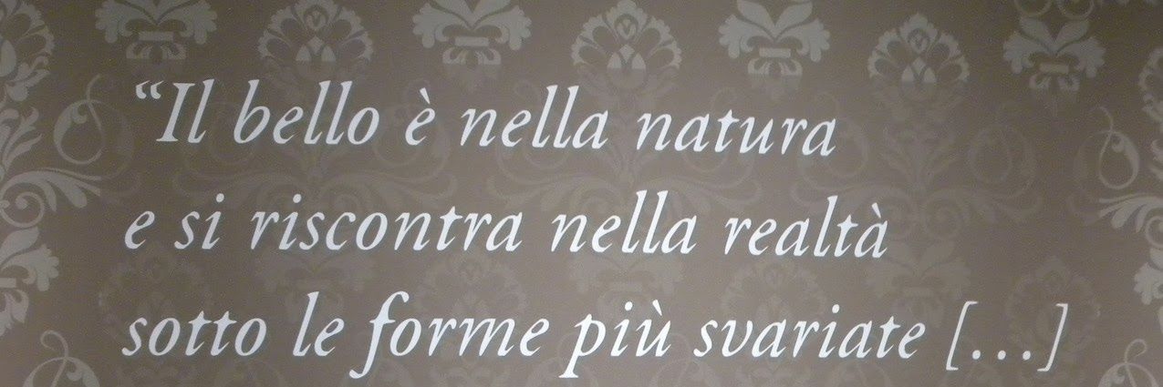 vanniboni's profile banner image