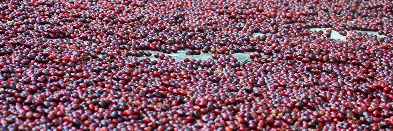 HaciendaLaEsmeralda banner