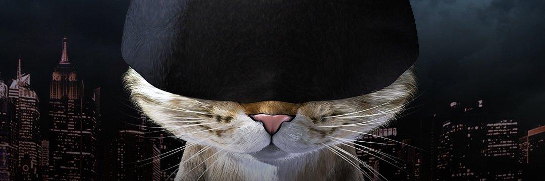 MeowWithoutFear banner