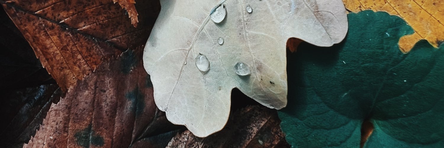 Zozylya's profile banner image