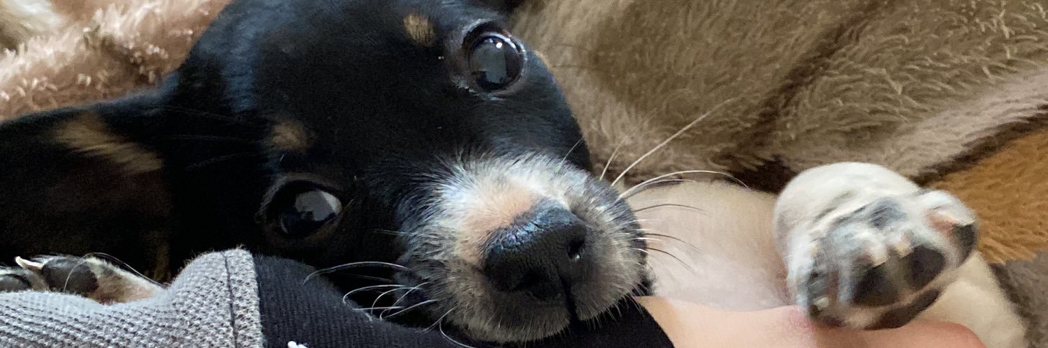 vicrrlh's profile banner image