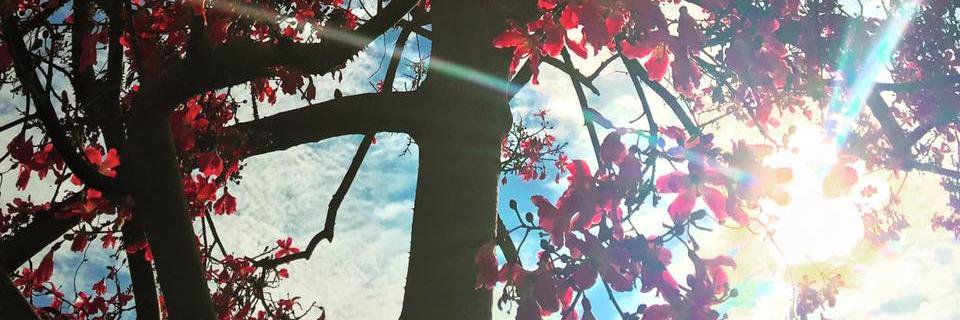 RadiantJProds's profile banner image