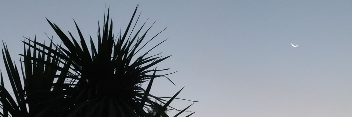 agustcanelo's profile banner image