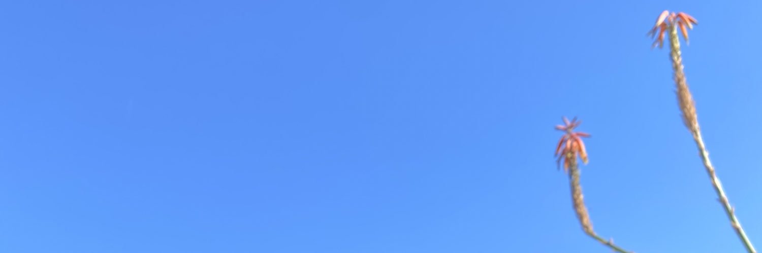 ssqlma0's profile banner image