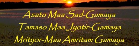 Karoly Szalkary banner