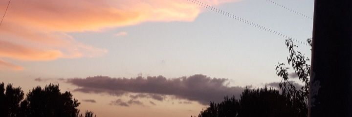 anngela20's profile banner image