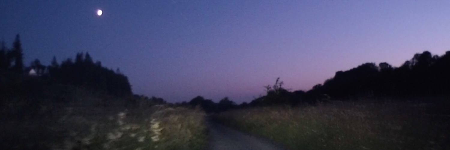 Ginger Techie banner