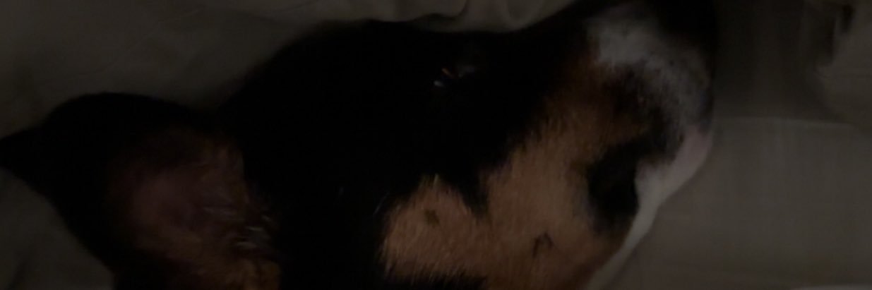 nataliekroen's profile banner image