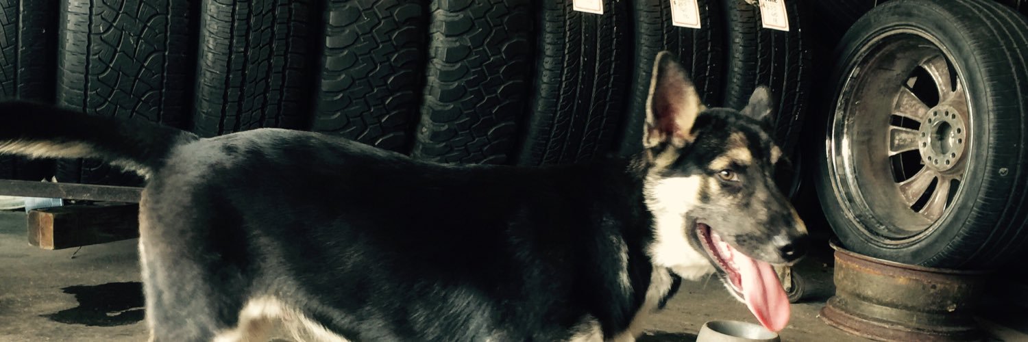 Jaydthemexican's profile banner image