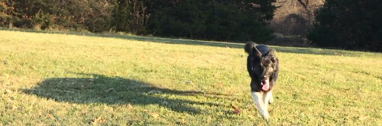 CooksonCalvin's profile banner image