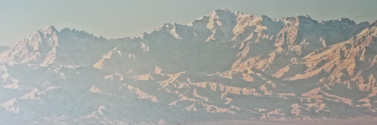 zistani's profile banner image
