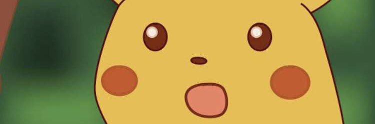 nolsully21's profile banner image