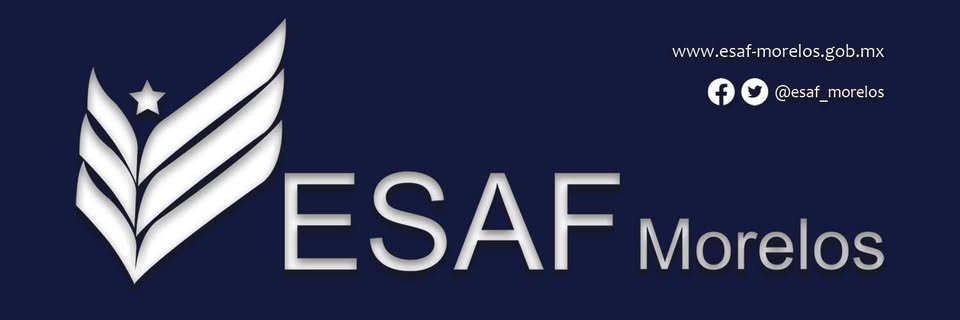 ESAF Morelos banner