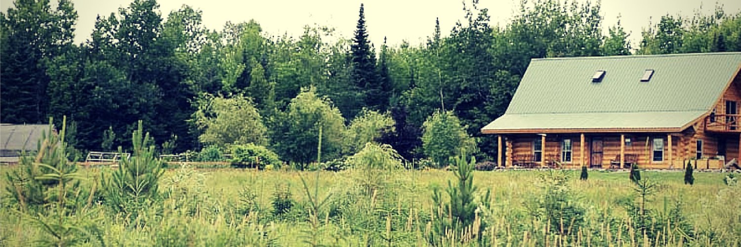 WalkerHomestead's profile banner image
