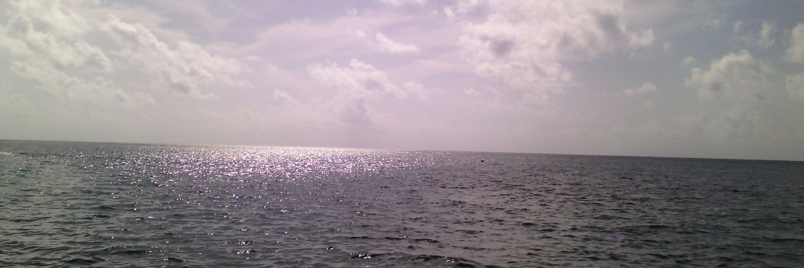 RodriguEzLaNeta's profile banner image